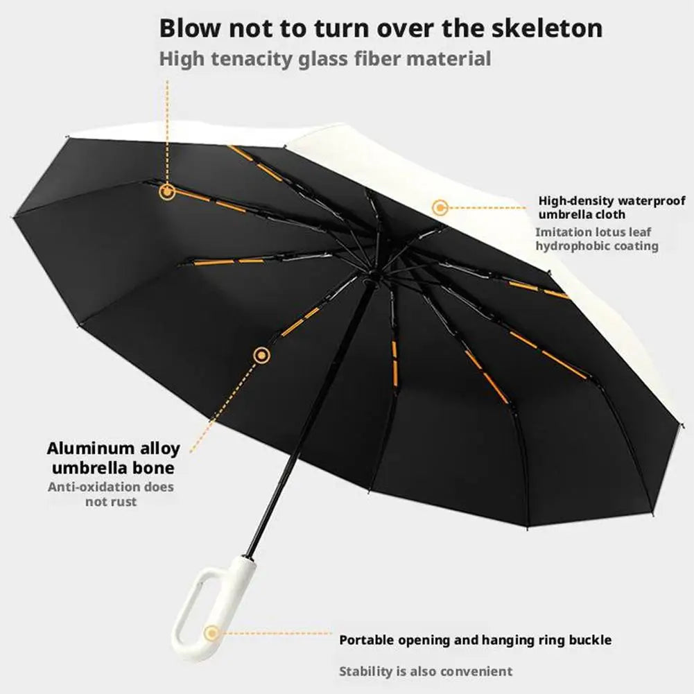 Compact 10-Rib Fully Automatic Umbrella for Men & Women